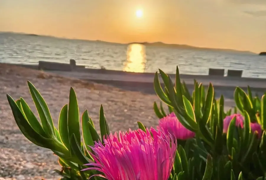 Sonnenuntergang und Natur am Meer